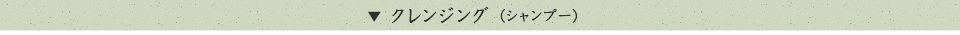 クレンジング(シャンプー)